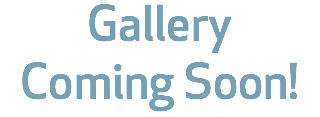 Gallery Coming Soon!